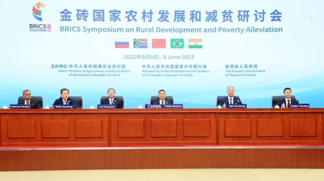 Ning Gaoning Attends BRICS Symposium on Rural Development and Poverty Alleviation